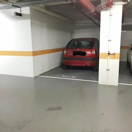 Sunny Downtown דירה